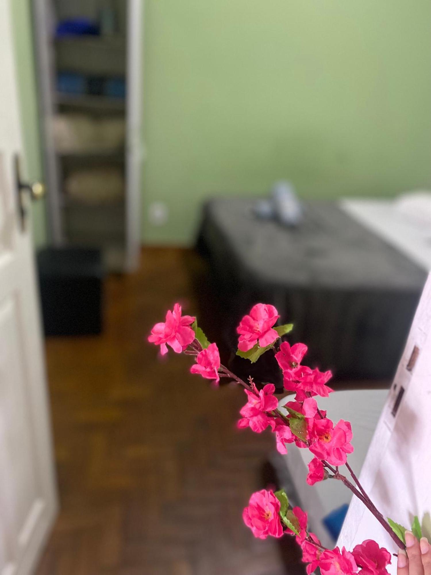 欧鲁普雷图Casa De Dois Quartos Para 6 Pessoas-Casa Das Flores别墅 外观 照片